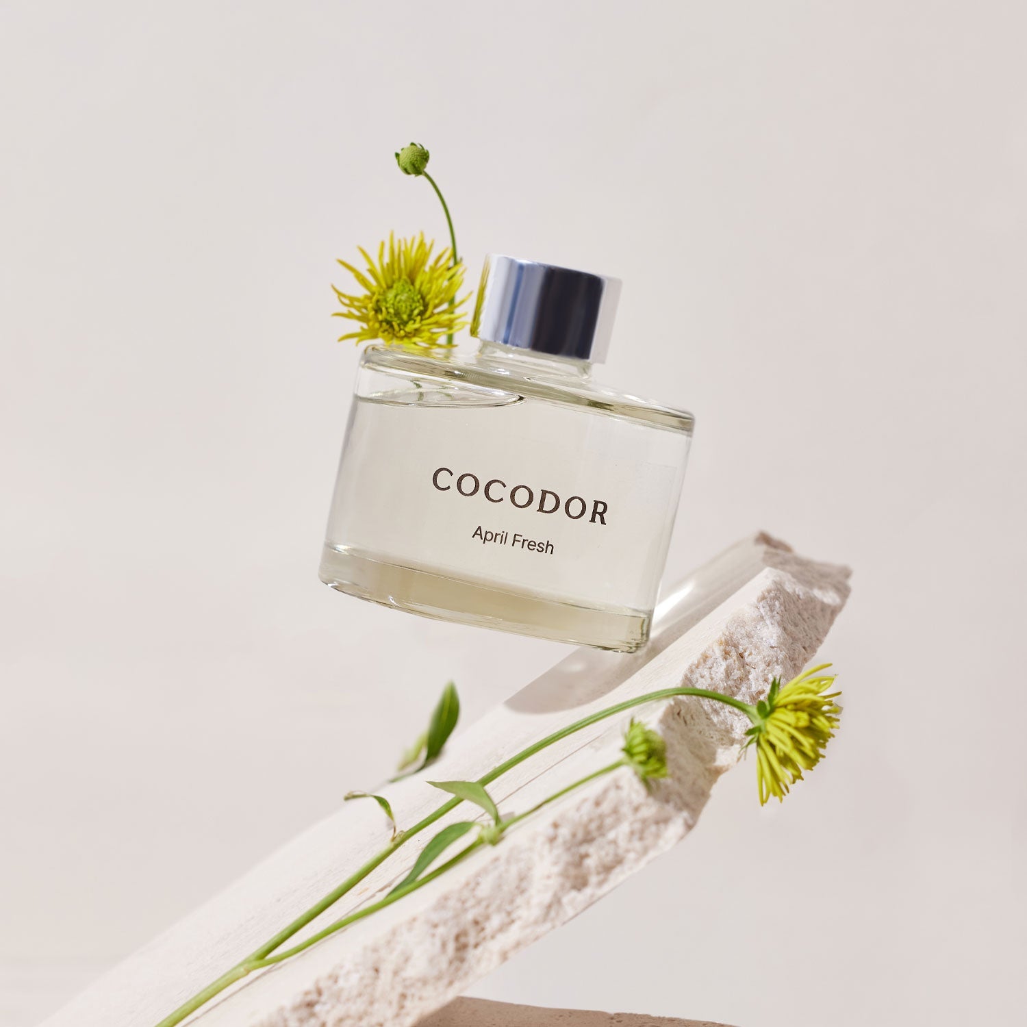 COCODOR | China Store - 300cbt | 삼백씨비티