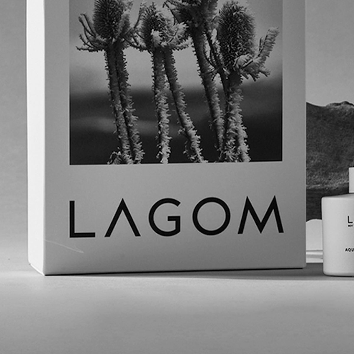 LAGOM | United States Store - 300cbt | 삼백씨비티