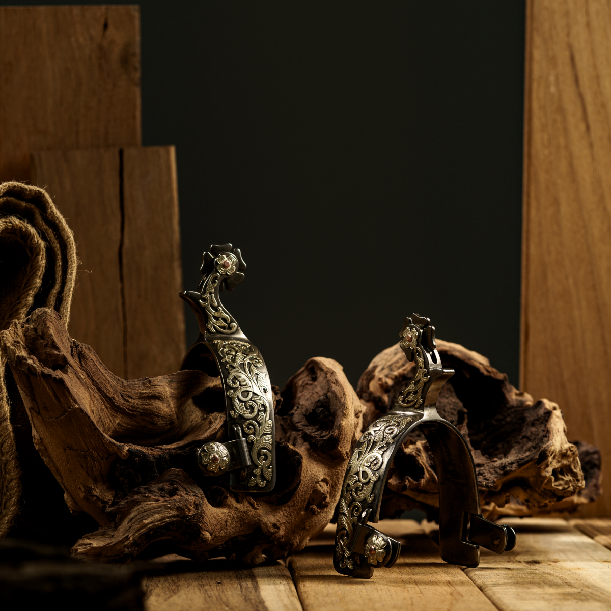 PhilEquine | Global Store - 300cbt | 삼백씨비티