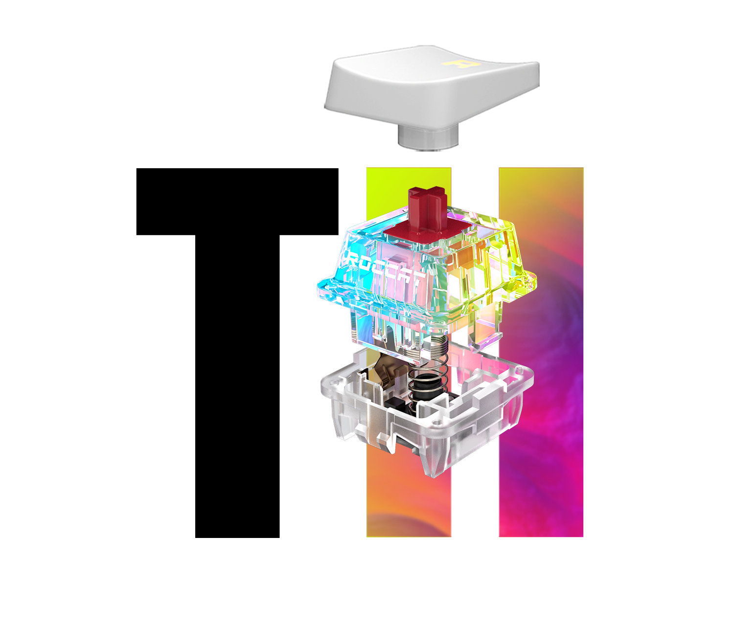 TURTLE BEACH | Korea Store - 300cbt | 삼백씨비티