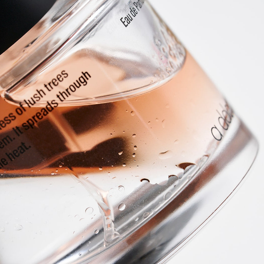 a ddct | Japan Store - 300cbt | 삼백씨비티